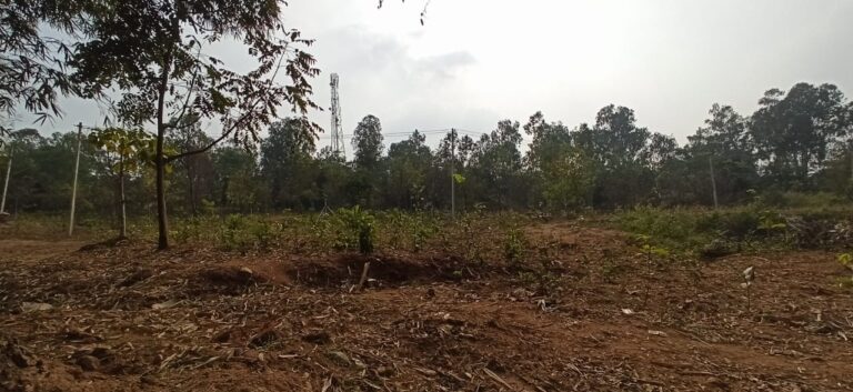 WhatsApp Image 2021-01-07 at 3.58.47 PM