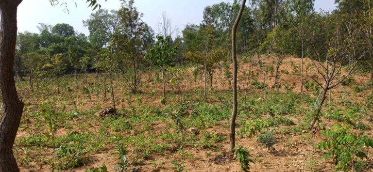 WhatsApp Image 2021-01-07 at 4.06.42 PM (1)