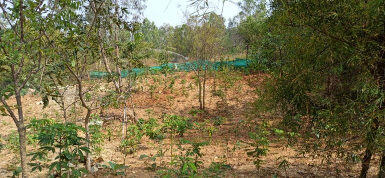 WhatsApp Image 2021-01-07 at 4.06.43 PM